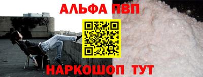 дмт Кингисепп