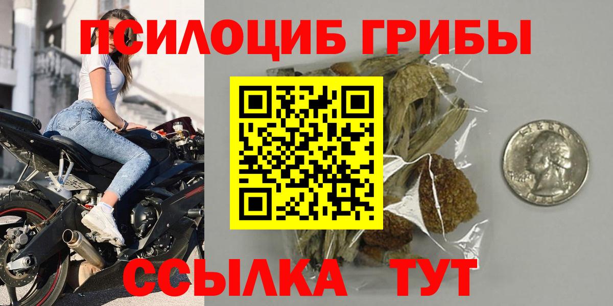 Галлюциногенные грибы прущие грибы  Вход с VPN  Кропоткин 