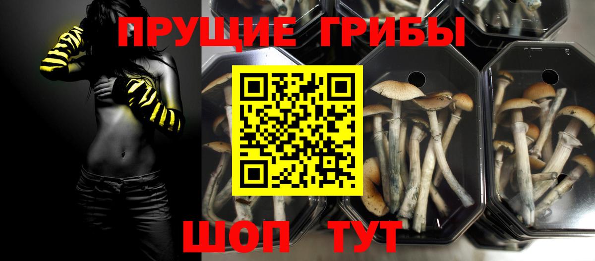 Галлюциногенные грибы ЛСД Кропоткин